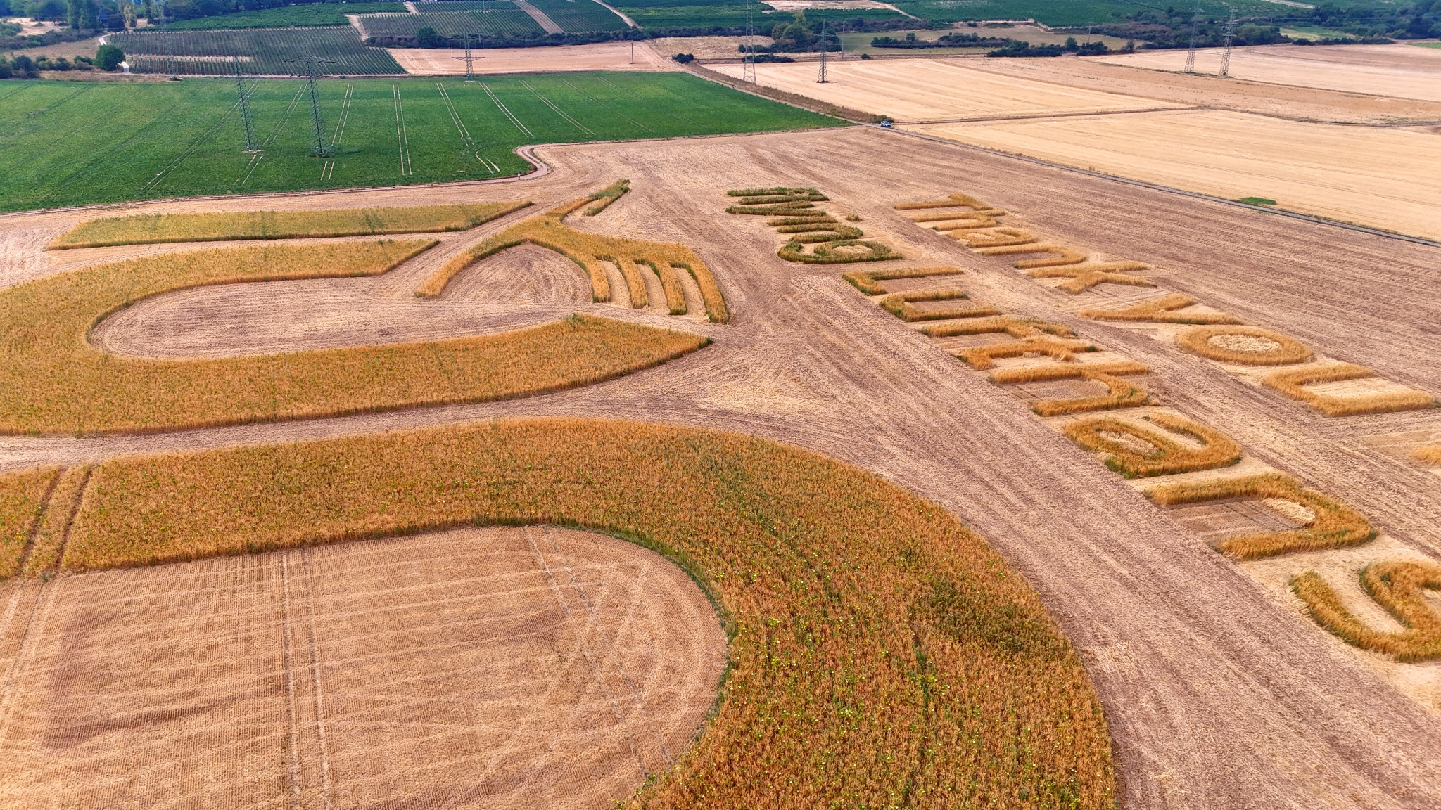 Lufthansa Ackerwerbung von GEOXIP nach der Getreideernte in Frankfurt Flörsheim – riesiges Geobranding als Field Ad mit stehenbleibenden Pflanzen und Blumen, sichtbar aus der Luft und in der Einflugschneise des Flughafens Frankfurt