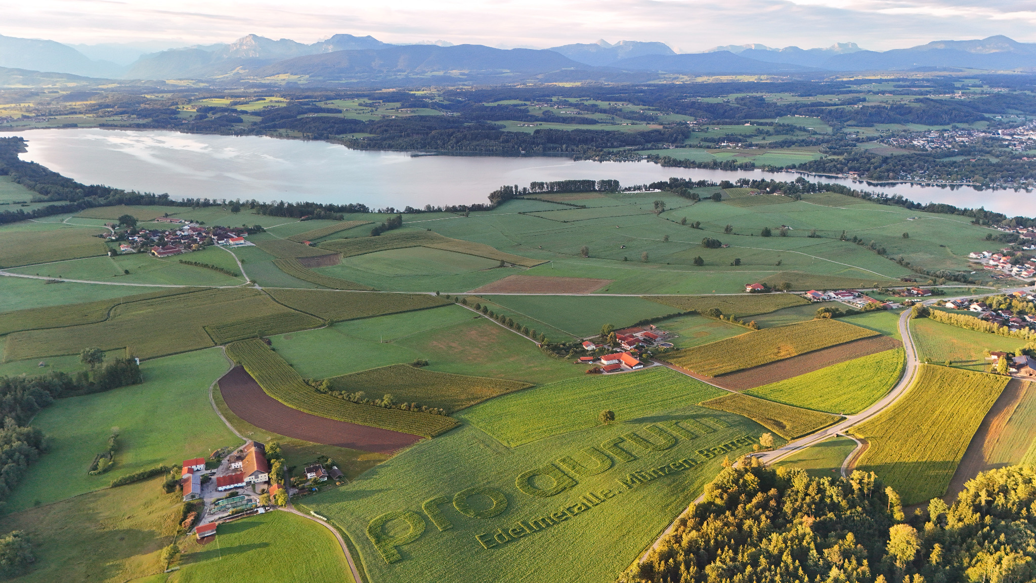 pro aurum Ackerwerbung und Geobrandings von GEOXIP in Oberbayern mit großem Schriftzug auf einem Feld, Waginger See und Alpenpanorama – nachhaltige Feldwerbung und Geobranding in landschaftlicher Umgebung